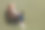 全尺寸的身体照片的专业商务女士工作在自由市场外包坐扶手椅孤立的卡其色背景图片下载