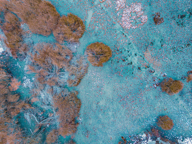 冬季在多布zynka河池在帕比亚尼斯-龙视图图片下载