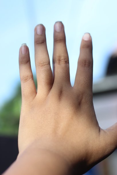 拍一只母鸡和它的孩子们在公园里玩耍图片下载