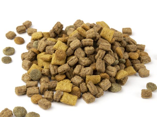 动物的食物，猫的食物，狗的白色背景。动物性食品的概念。图片下载