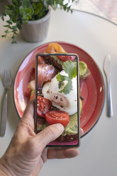 素食午餐或早午餐的智能手机美食照片。图片下载