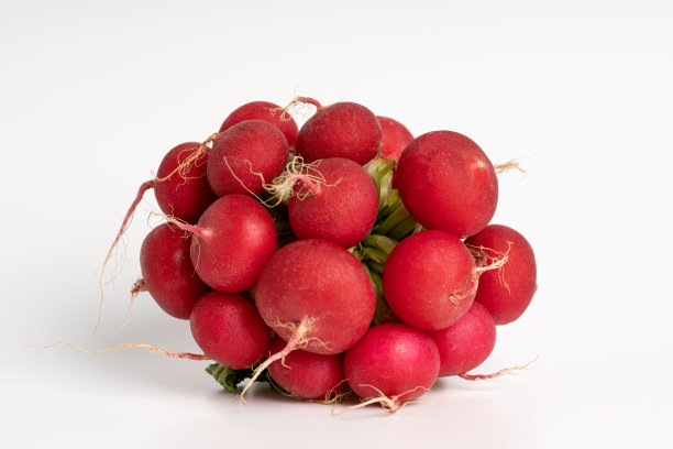 白底上一捆新鲜的萝卜。素食者及饮食概念图片下载