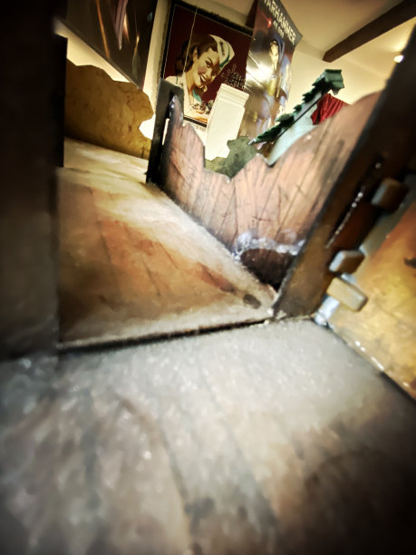 一个微型哥特集宏观视图图片下载