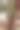 花园里那棵树的树干上装饰着玫瑰花，准备举行婚礼。库存图片图片下载