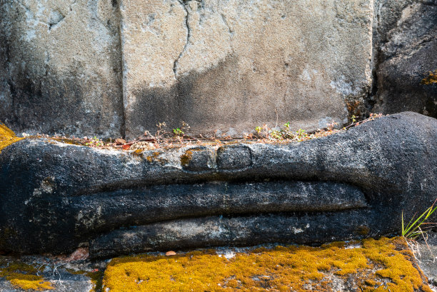 Bhairava Mudra Hands图片下载