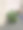 中国常绿植物是一种多年生草本植物，原产于菲律宾和西里伯斯东北部，通常作为室内植物种植，可行走，盒子，纸，门图片下载