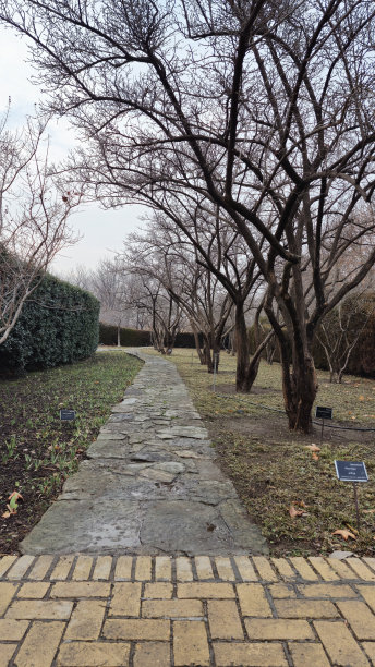 冬天公园里的人行道，照片的特写图片下载