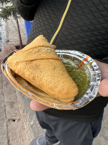 特写照片中，一名无法辨认的男子拿着一次性铝箔盘子，里面塞满了五香土豆、豌豆和肉，配上薄荷香菜，从街头食品市场的摊位上取下，高架视角，聚焦于前景图片下载