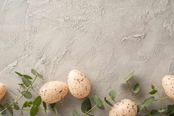 精致的复活节装饰与绿色的触摸。俯视图照片具有浅色的鸡蛋，和桉树树枝纹理混凝土灰色的基础上，有足够的空间复制图片下载