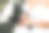 裁剪照片。新娘身穿白色领口礼服，手持一束白玫瑰。漂亮的手和银饰。法国修指甲。新娘的肖像。图片下载