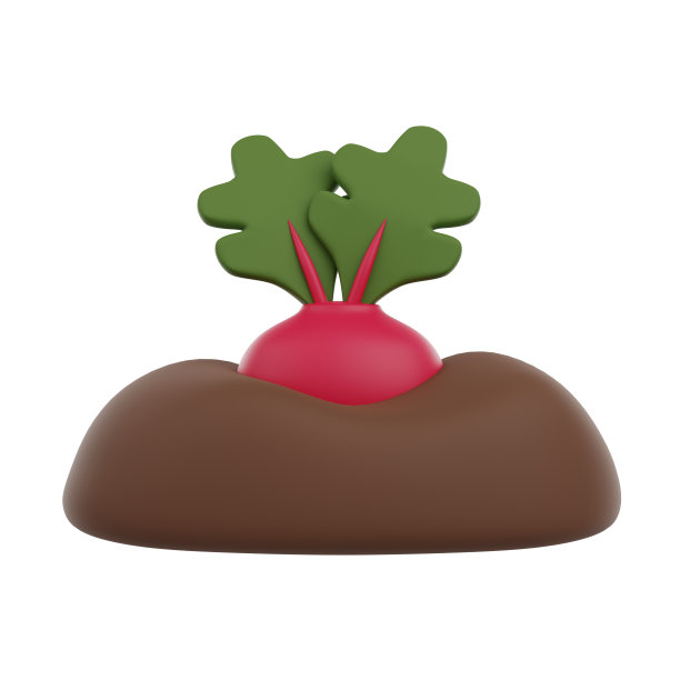 生长萝卜或甜菜根在土壤3D渲染图标图片下载