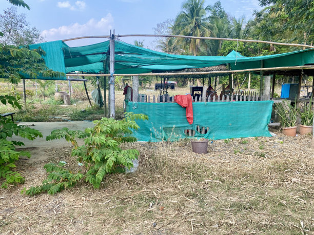 哪些是商店图片下载