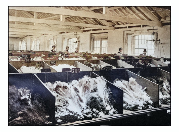 古董伦敦的照片:卡特勒街仓库的鸵鸟羽毛图片下载