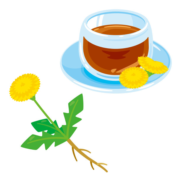 蒲公英和蒲公英茶图片下载