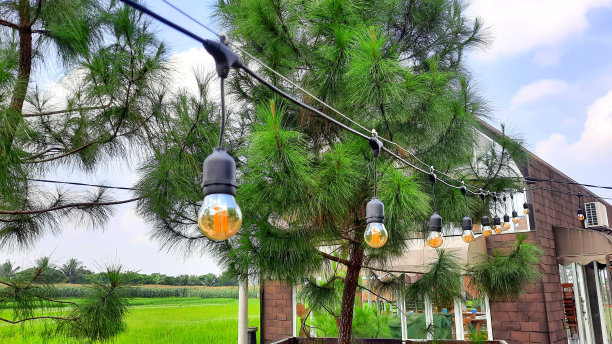 以树木和稻田为背景的花园里的灯泡或灯光。别墅的景色。暑假概念。图片下载