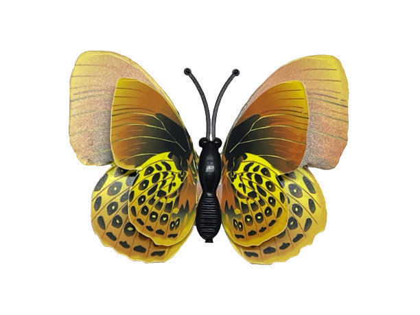 一只黄褐色的蝴蝶在白色的背景上图片下载