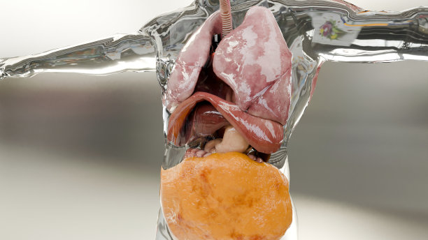 减肥比较。人的身体蜕变。之前和之后的粗腰和细腰，胖肚子之前和苗条贴合完美腹肌之后的快速减肥过程。体育训练。脂肪燃烧，3d渲染图片下载