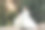 婚礼的照片。新娘身穿白色长裙，头戴长面纱，面带微笑，手里拿着一束白玫瑰。新娘的肖像。漂亮的妆容和发型。图片下载