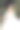 婚礼的照片。新娘身穿白色长裙，头戴长面纱，面带微笑，手里拿着一束白玫瑰。新娘的肖像。漂亮的妆容和发型。图片下载