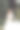 婚礼的照片。新娘身穿白色长裙，头戴长面纱，面带微笑，手里拿着一束白玫瑰。新娘的肖像。漂亮的妆容和发型。图片下载