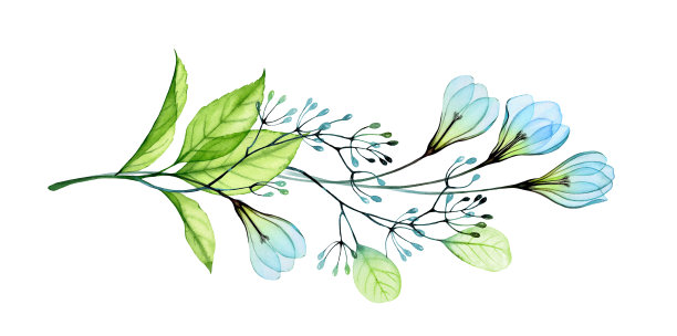 水彩花卉组成与雪花莲。水平边界与蓝色透明的花朵和叶子。手绘抽象插画的春天婚礼文具，贺卡图片下载