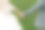 照片中的新娘和新郎的手，背景是绿色的田野和山脉。一件漂亮的衣服。时尚的新郎。婚礼的照片。细节图片下载