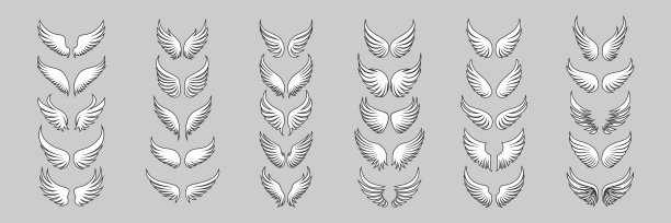 矢量翼图标集。复古天使翅膀轮廓，图标，标志设计模板，剪贴画集合。丘比特，鸟的翅膀。矢量图图片下载