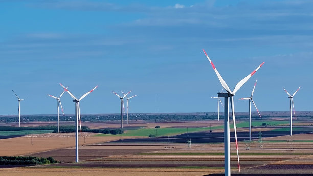 在大自然的心脏，创新找到了它的节奏图片下载