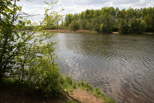照片，树，河，自然，水，夏天，乡村，草，天空，水平，景观，云，湖，自然，户外，图片下载