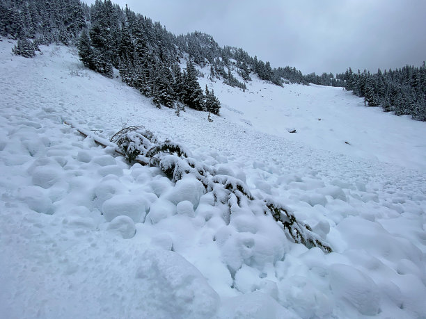 雪崩碎片图片下载