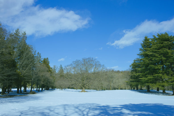 雪公园图片下载
