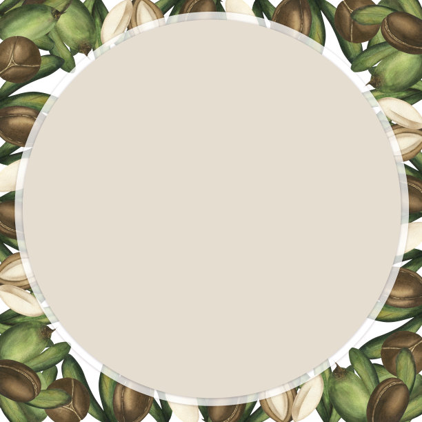 一个坚果的水彩插图。在一个孤立的背景上手绘的东方坚果树草图。由成熟的坚果和绿叶组成的旗帜框架。油、身体护理图片下载