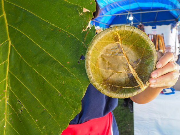 绿色板叶主题使全球变暖图片下载