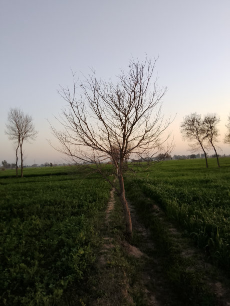 晚上的时间图片下载