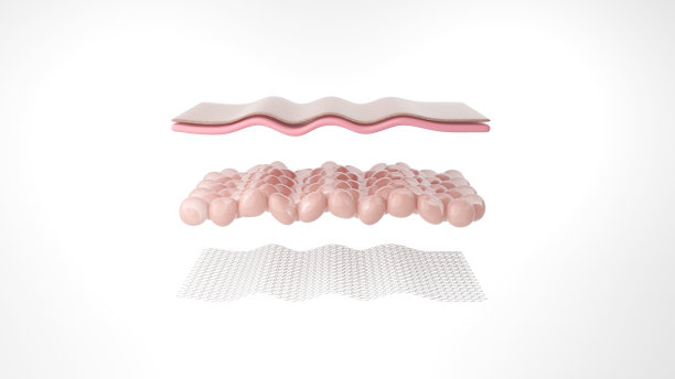 皮肤层隔离白色背景图片下载