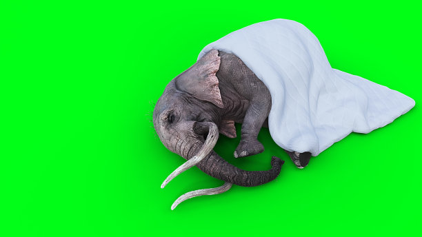 大象睡在毯子下面。3 d渲染。图片下载