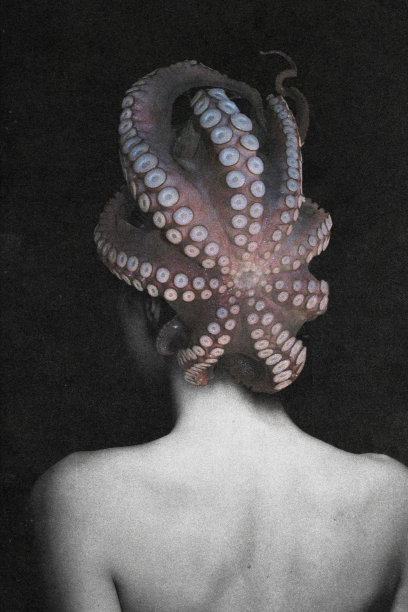 抽象和超现实的女人与章鱼在她的头部肖像插图图片下载