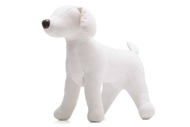 白色背景的狗模型图片下载