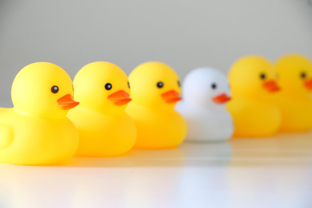 橡皮鸭排成一排。多样性，从皇冠上脱颖而出，偏见，种族主义的概念。一只白色橡皮鸭被模糊掉了焦点，焦点在前景的黄色橡皮鸭上。图片下载