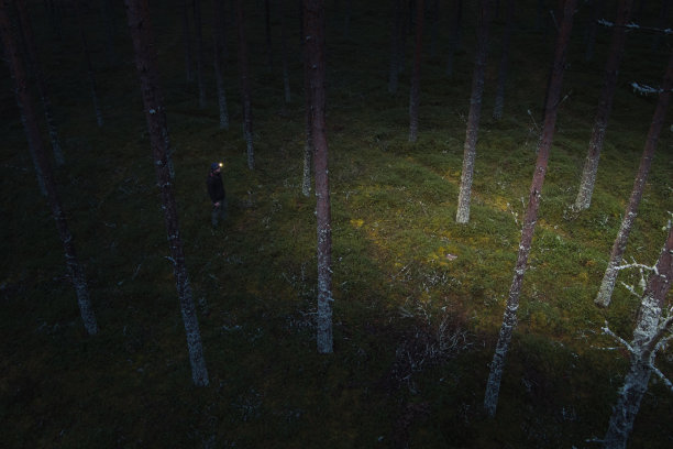 夜间，一名男子带着头灯在森林中行走，这是无人机拍摄的照片。图片下载