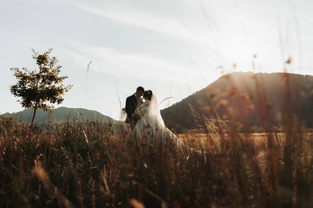 婚礼的照片。新娘和新郎站在田野里亲吻，背景是树木和大山。照片在一个轻键。一对热恋中的情侣。时尚的新郎图片下载