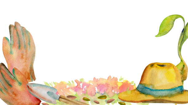 手绘水彩插画春天园艺工具，铲子，皮手套，草帽，花坛种子。水平框架孤立白色背景。设计印刷，商店，剪贴簿，包装图片下载