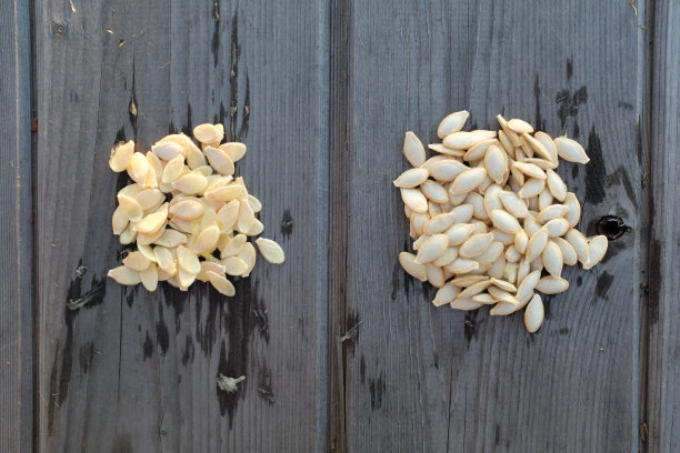木桌上的西葫芦种子。两把南瓜子出版，设计，海报，日历，帖子，屏幕保护程序，壁纸，明信片，横幅，封面，网站。高质量照片图片下载