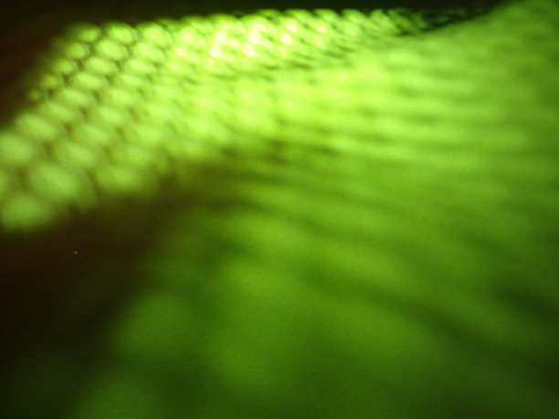 幻想植物细胞显微镜。绿色有机结构。Microlife概念图片下载