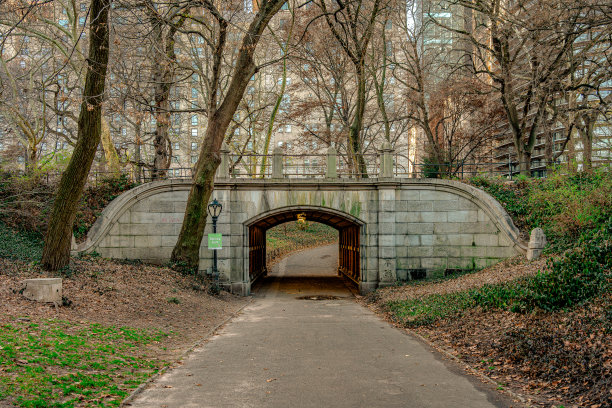 纽约市图片下载