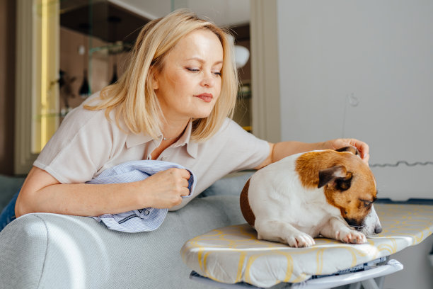 人与宠物狗的友谊。图片下载