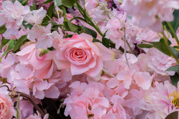 玫瑰-花，粉红色，花，背景，花束图片下载