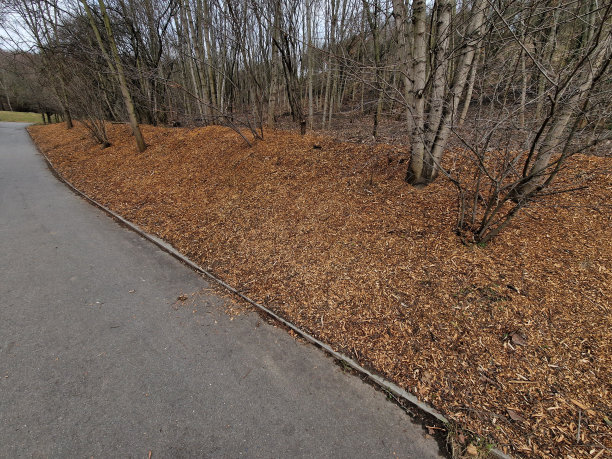 覆盖物树皮。木屑片，以防止杂草生长和杂草发芽。分支粉碎机，清除灌木和入侵物种。在高压电线下生长图片下载