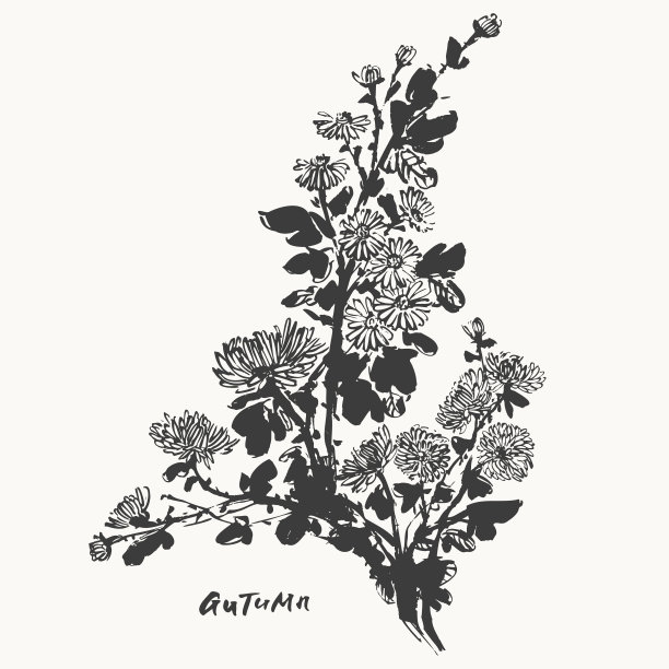 手绘水墨画的菊花，枝与叶和芽图片下载