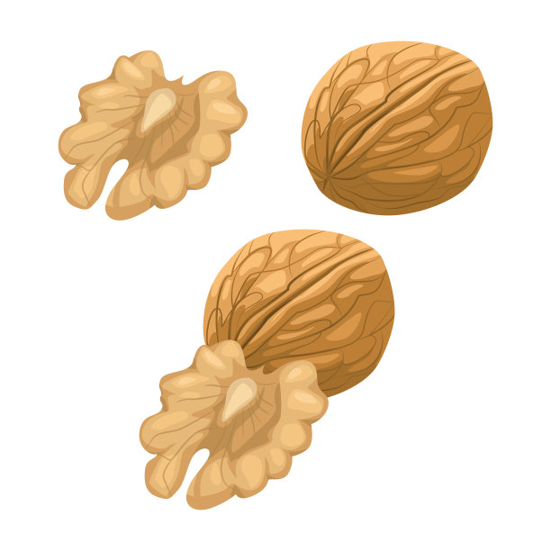 一套孤立在白色背景上的核桃。图片下载